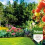 Pokon Bio Lavameel sfeer
